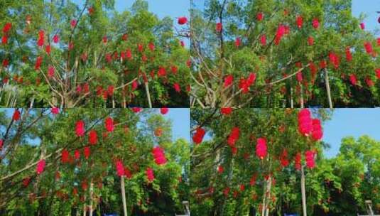 过年春节挂在树上的灯笼张灯结彩高清在线视频素材下载