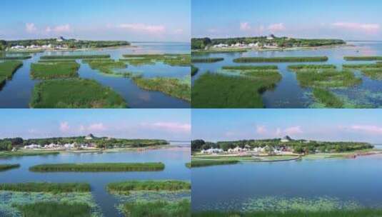 查干湖夏季风景航拍高清在线视频素材下载