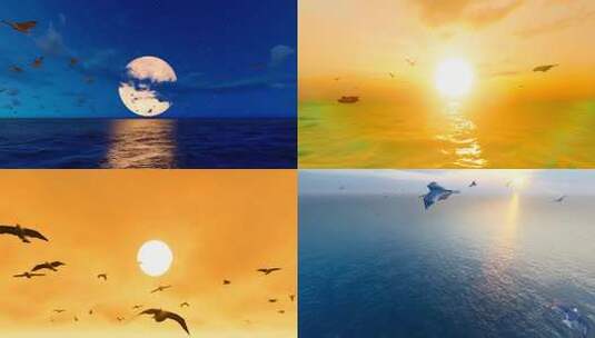 夕阳和月色下的海鸥在大海自由飞翔高清在线视频素材下载