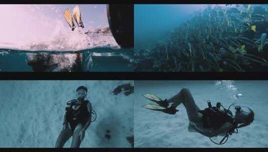 比基尼美女潜水海鱼鱼群海洋生物海岛美景高清在线视频素材下载