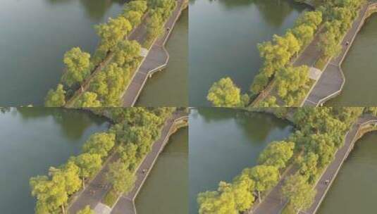 航拍武汉东湖绿道士兵跑步高清在线视频素材下载