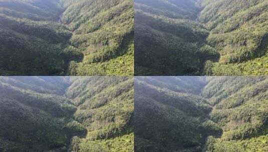 植物茂密的山丘高清在线视频素材下载