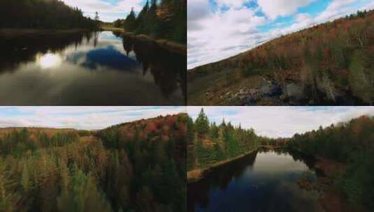 FPV穿越机无人机航拍森林河流树林湖泊秋天高清在线视频素材下载