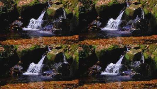 秋天石头缝流出溪水落满了树叶高清在线视频素材下载