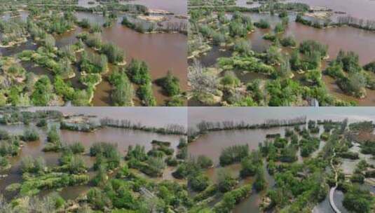 航拍四川大凉山西昌邛海湿地公园风光高清在线视频素材下载