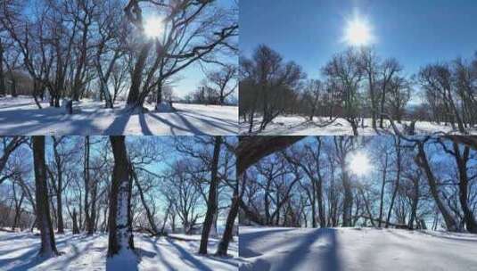 东北吉林长白山冬天原始森林雪景枯树雪景高清在线视频素材下载