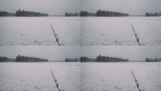 森林下雪天风景雪景唯美冬天下雪天大雪茫茫高清在线视频素材下载