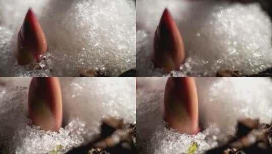 冰雪消融高清在线视频素材下载