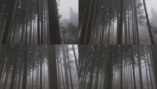 贵州冬季森林里的雾高清在线视频素材下载