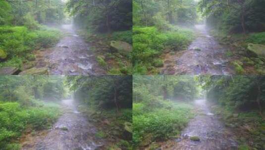 治愈风景航拍绿色森林晨雾中的清澈溪流高清在线视频素材下载
