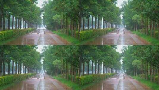 夏日下雨的街道高清在线视频素材下载