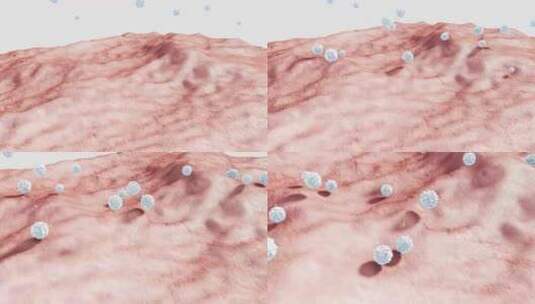 免疫球蛋白IgG1单克隆抗体分子3D渲染高清在线视频素材下载