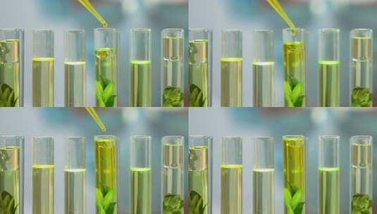 生物学家向管中植物添加黄色液体，人类对环高清在线视频素材下载