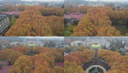 深秋的南京东南大学四牌楼校区风光航拍素材高清在线视频素材下载