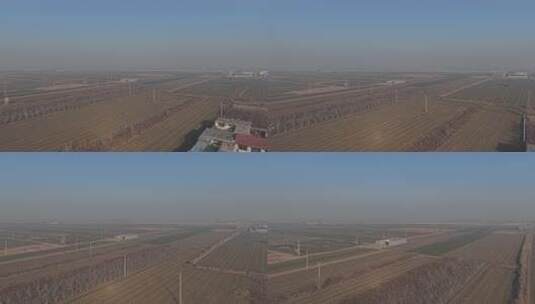 航拍 北方 冬天 冬至 冬季高清在线视频素材下载