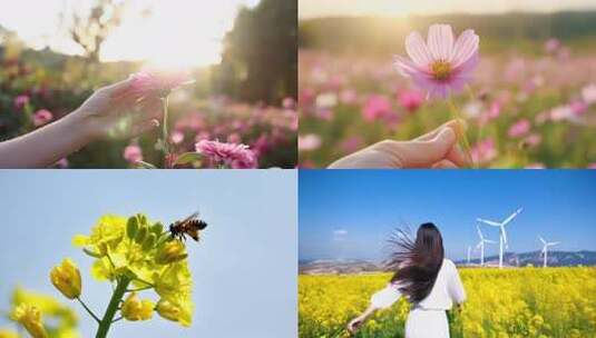 少女美女花海游玩春天油菜花户外野外ai素高清在线视频素材下载