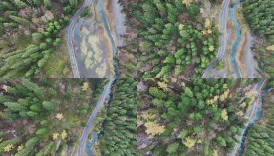 航拍九寨沟秋景彩林川西秋天原始森林五花海高清在线视频素材下载