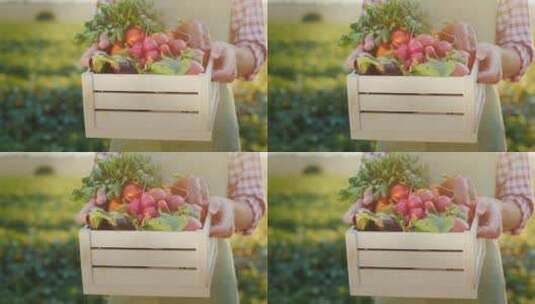 农民拿着装有新鲜蔬菜的木箱 高清在线视频素材下载