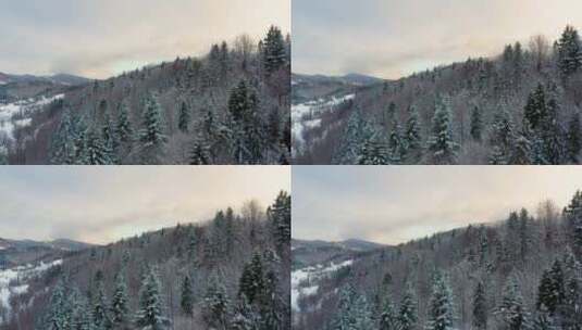 航拍被雪覆盖的森林景观高清在线视频素材下载