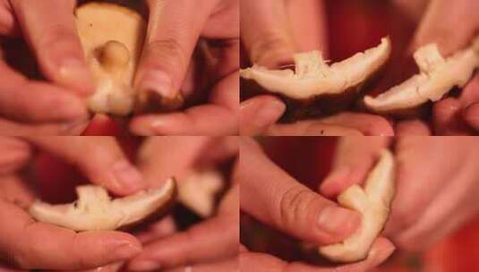食材香菇肉质一朵香菇高清在线视频素材下载