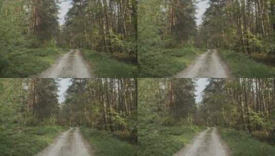 森林中的电影之路高清在线视频素材下载