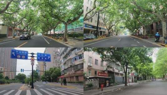 上海封城中的老城区公路绿化环境高清在线视频素材下载