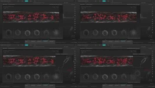 血液细胞科幻屏幕HUD操作系统智能界面交互高清在线视频素材下载