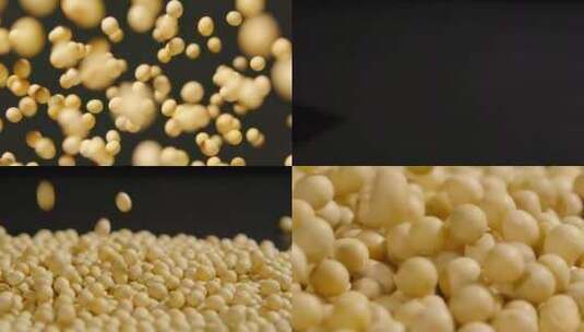 黄豆 大豆 升格 黄豆入水泡水 豆豉高清在线视频素材下载