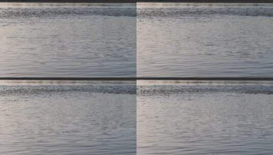 唯美高质量黄河清澈水面高清在线视频素材下载