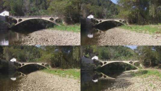 金丝楠木林中的桥梁高清在线视频素材下载