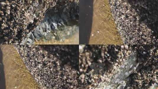 J浙江温州苍南蒲城海滩泥沙1高清在线视频素材下载