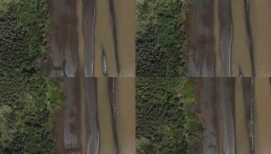 横跨未受破坏的大自然的空中俯视图El Destino湿沙河岸和湿地植被高清在线视频素材下载