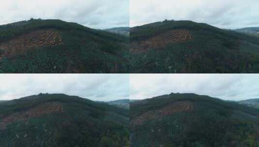 山区森林砍伐高清在线视频素材下载