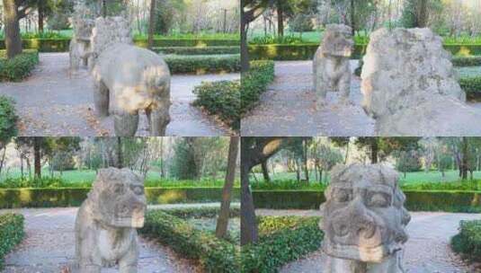 南京明孝陵景区石象路石狮子雕塑慢镜头空镜高清在线视频素材下载
