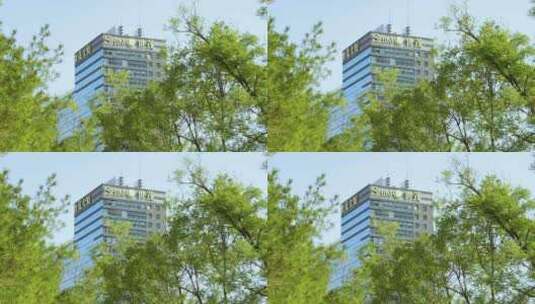 北京世茂大厦楼顶高清在线视频素材下载