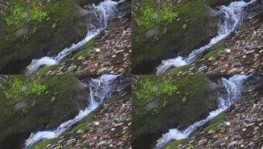 两只喜鹊飞过山间小溪高清在线视频素材下载