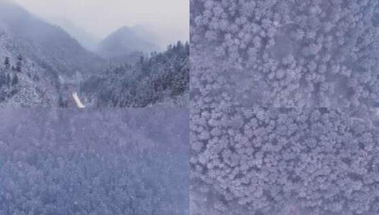 森林下雪雪景高清在线视频素材下载