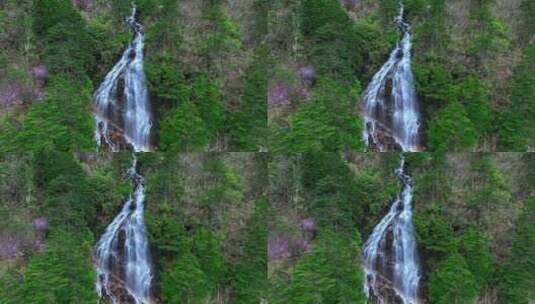 森林溪流流水高清在线视频素材下载