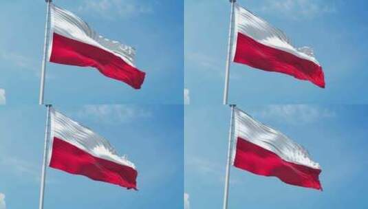 波兰现实主义旗帜高清在线视频素材下载