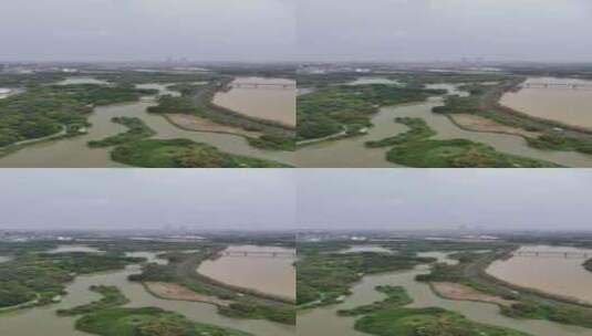 广州海珠国家湿地公园高清在线视频素材下载