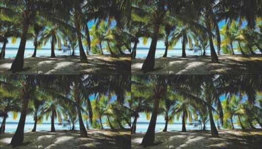 海南海边椰子树高清在线视频素材下载