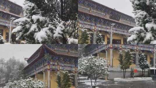 落雪听禅高清在线视频素材下载