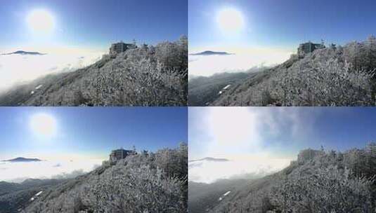 雾凇云海日出冬季雪景延时奇观森林节气冰雪高清在线视频素材下载