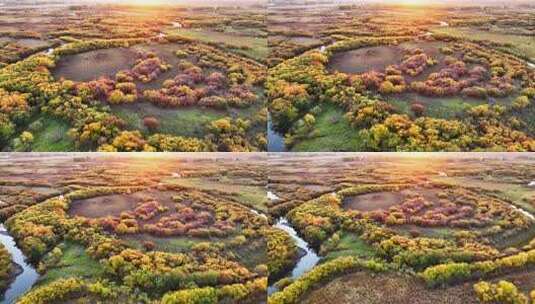 秋季多彩湿地景观高清在线视频素材下载