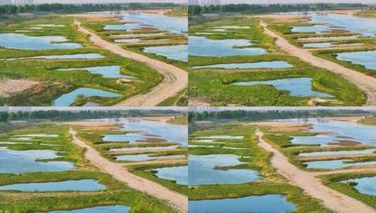 渭河湿地 两岸风光自然环境高清在线视频素材下载