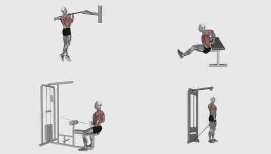 人体肌肉健身运动3D演示动画健身器材锻炼高清在线视频素材下载