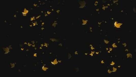 落叶 飘落 树叶 花瓣 透明 循环  无缝循环高清在线视频素材下载