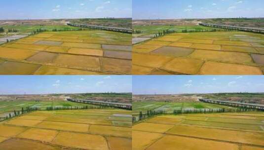 农业农田稻田水利灌溉航拍高清在线视频素材下载
