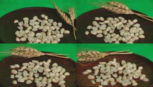 花生 花生米 农作物 农产品 宣传片 广告片高清在线视频素材下载
