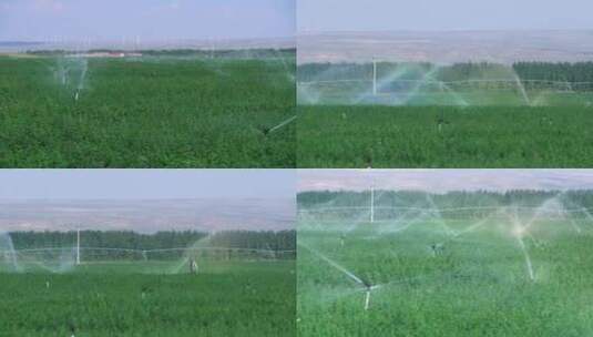 农田喷灌节水现代化高清在线视频素材下载